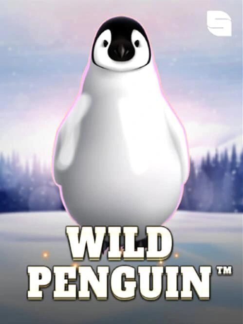 Run evoplay games