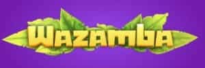 Crazy time casino